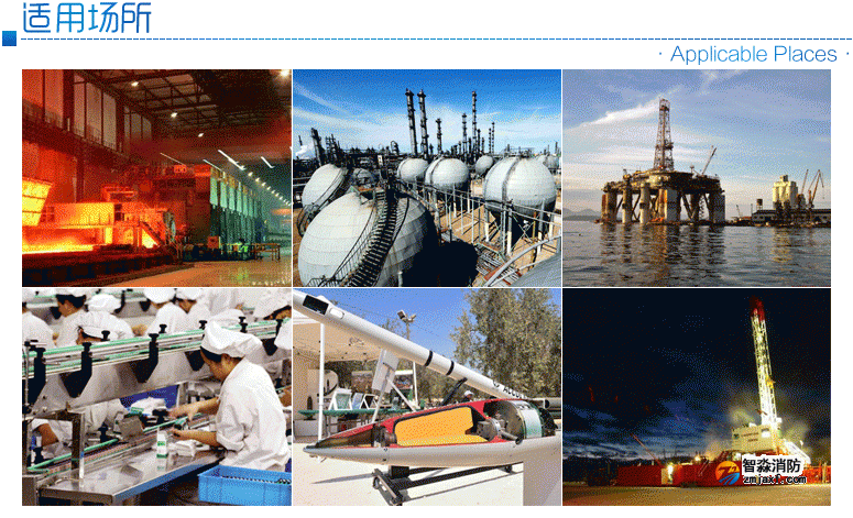 ZT-FBGY-2適用于石油、化工、軍工、冶金、制藥等行業中含有易燃易爆混合氣體的場所